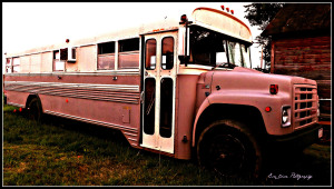 pinkbus1